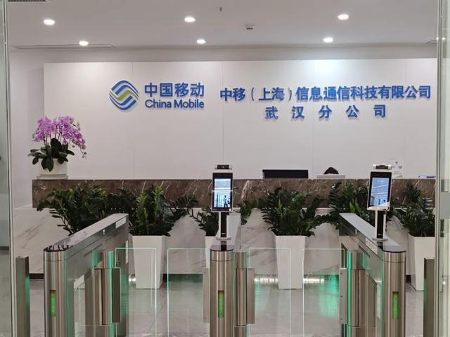 风暴平台官方:“休完产假,公司没了” 篮球赛事“路人王”运营公司被曝歇业 有员工称已申请仲裁